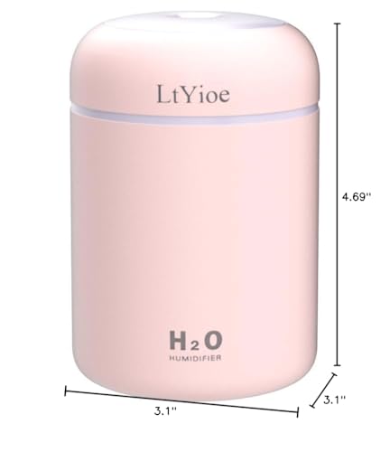 Aura Mist Mini Humidifier